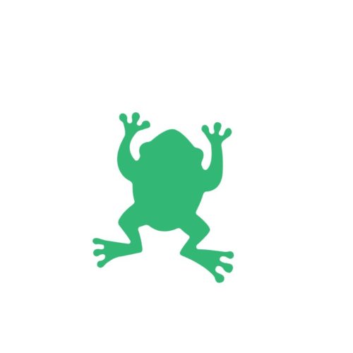 Frog Acrylic Blank