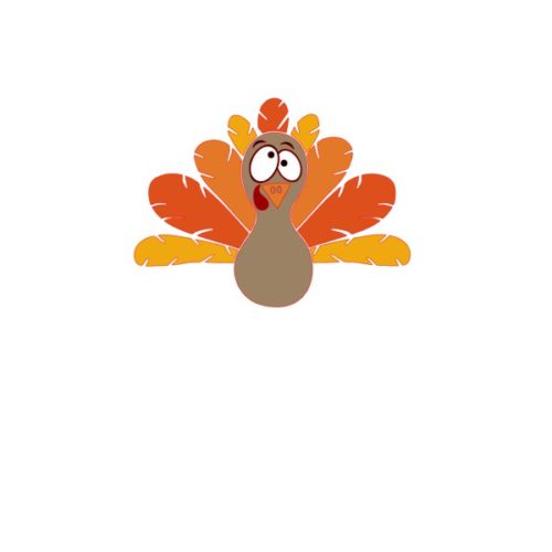 Funny Turkey Acrylic Blank